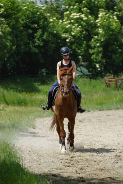 The girl with black helmet riding a sorrel  mare at a riding school