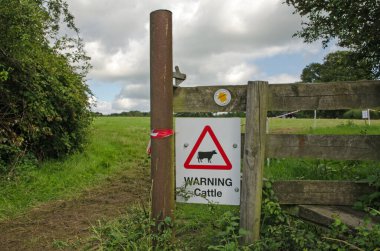 Hampshire 'daki bir tarlada yaşayan sığırları uyaran bir işaret. İnekler genç buzağıları olduğunda rahatsız edilmeye kötü tepki verebilirler ve insanların normalde uysal çiftlik hayvanları tarafından çiğnendiği bilinir..