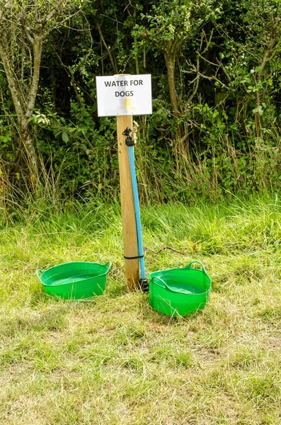 夏の日差しの中を歩く犬のための水を提供するためにハンプシャーフィールドに設置されたタップ — ストック写真