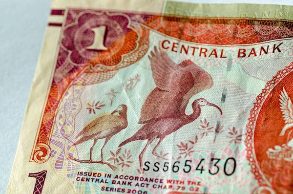 Detalj Från Dollar Sedel Från Trinidad Och Tobago Visar Scarlet — Stockfoto
