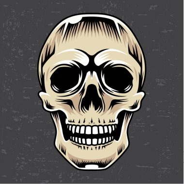 Kurukafa vektörü premium vektörü