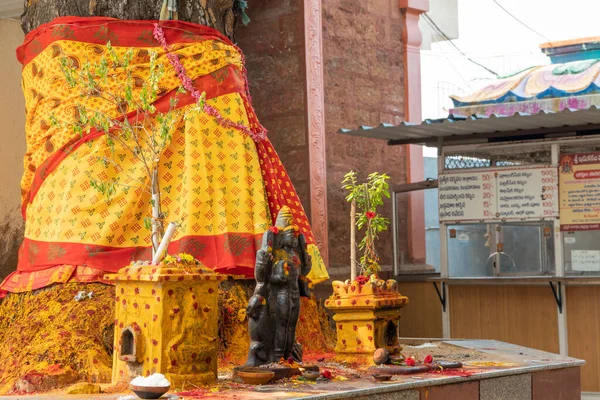 Ritual Worshiping Neem Trees Hindu Tradition Only Temple — Photo