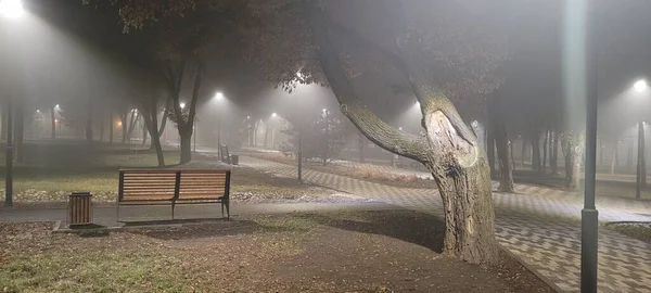 Parkta sisli bir sabah