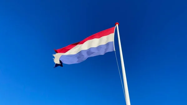 Beautiful Netherlands National Flag Illustration — Stock Photo, Image