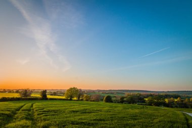 Kuzey Yorkshire, İngiltere 'deki tarlaların yanındaki parlak gün batımı
