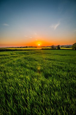 Kuzey Yorkshire, İngiltere 'deki tarlaların yanındaki parlak gün batımı