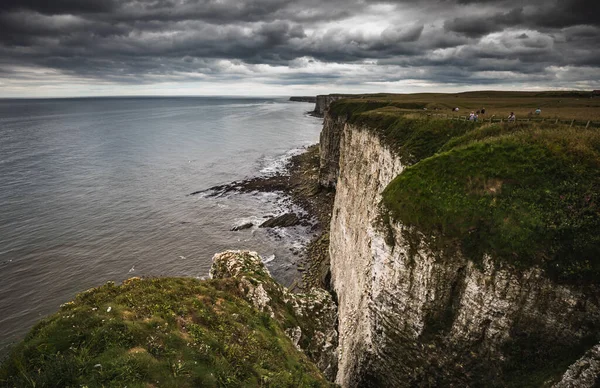 Bempton Kayalıklarına bakan deniz manzarası, Yorkshire, İngiltere