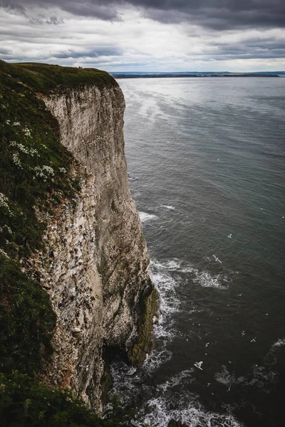 Bempton Kayalıklarına bakan deniz manzarası, Yorkshire, İngiltere