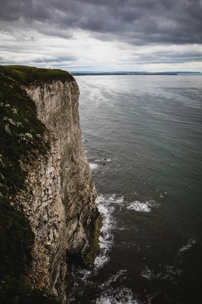 Bempton Kayalıklarına bakan deniz manzarası, Yorkshire, İngiltere
