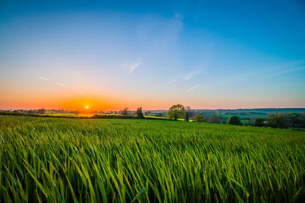 Kuzey Yorkshire, İngiltere 'deki tarlaların yanındaki parlak gün batımı