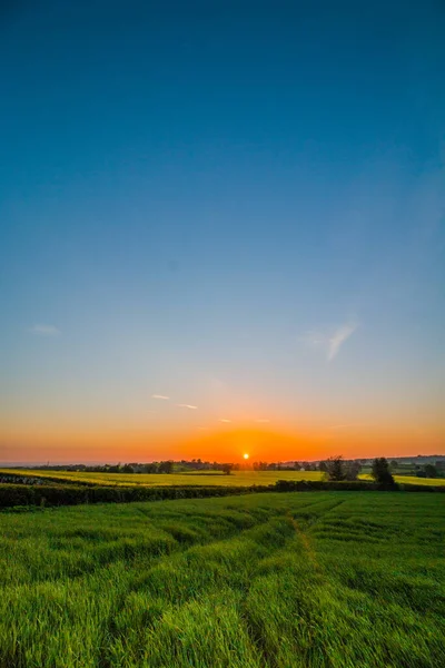 Kuzey Yorkshire, İngiltere 'deki tarlaların yanındaki parlak gün batımı