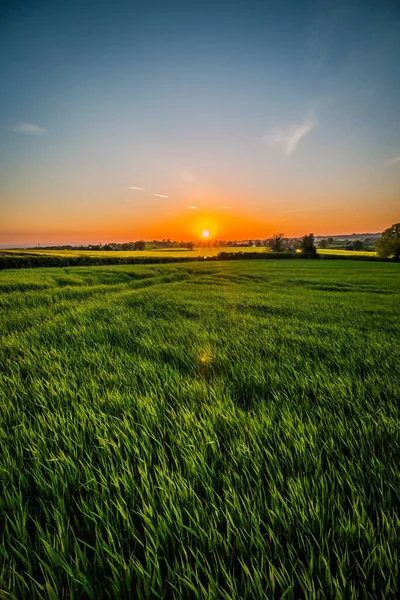 Kuzey Yorkshire, İngiltere 'deki tarlaların yanındaki parlak gün batımı