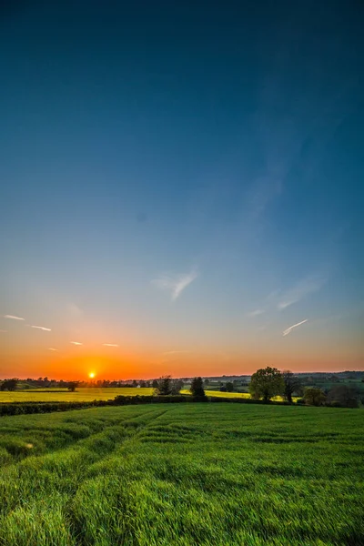 Kuzey Yorkshire, İngiltere 'deki tarlaların yanındaki parlak gün batımı