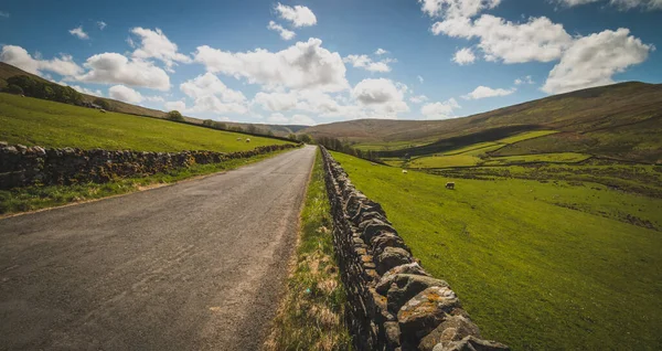 Yorkshire Dales Manzarası, Yorkshire, İngiltere 'den geçen bir yol.