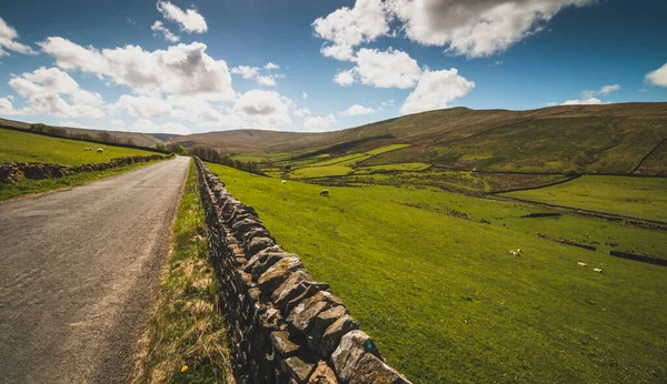 Yorkshire Dales Manzarası, Yorkshire, İngiltere 'den geçen bir yol.
