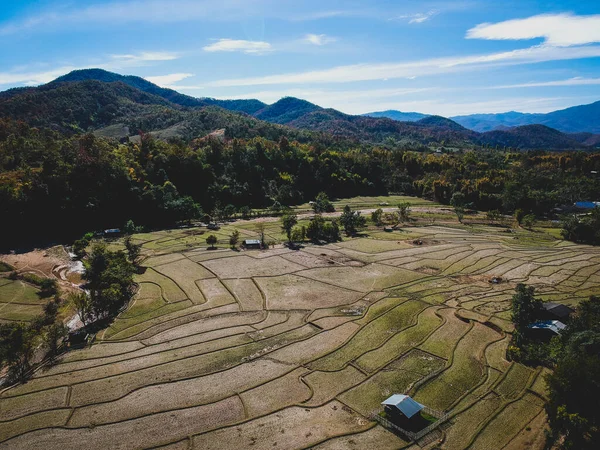 Kuzey Tayland 'daki pirinç tarlalarının üzerine bak