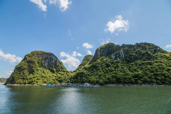 Halong Bay Landscape Sunny Day Vietnam — Stockfoto