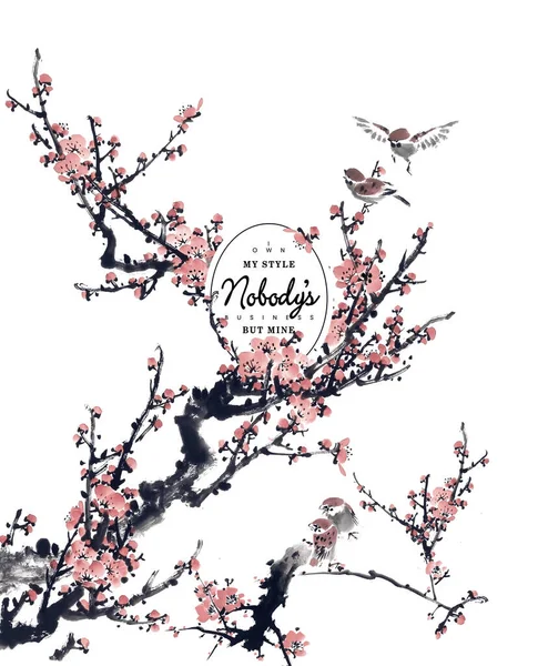 Sakura Virágok Madarak Minta — Stock Fotó