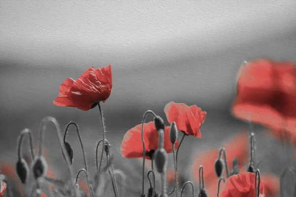 Poppy Flower Field Mountain Background Desaturated Paint — Stockfoto