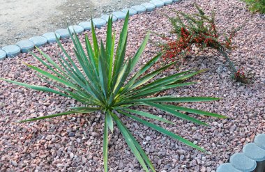 Bahçedeki peyzaj, park, meydan, dinlenme alanındaki modern tasarım parçaları.