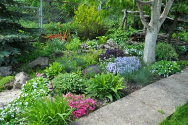 Bahçede çiçek tarhının bir bölümünün tasarımı