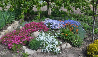 Bahçede çiçek tarhının bir bölümünün tasarımı