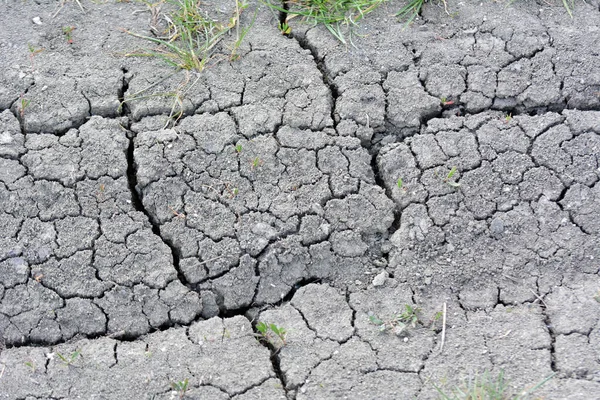 Cracked Fertile Ground Field Due Heat — Stock Photo, Image