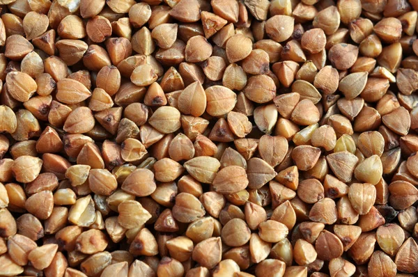 Background Dry Threshed Grains Cereals Buckwheat — Foto de Stock