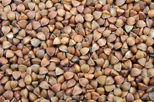 Background Dry Threshed Grains Cereals Buckwheat — Foto de Stock