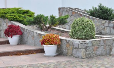 Bahçedeki peyzaj, park, meydan, dinlenme alanındaki modern tasarım parçaları.