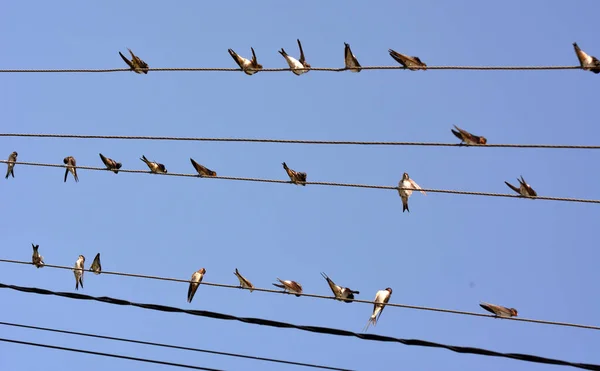 Mañana Anterior Cómo Volar Zona Más Cálidal Durante Unos Días — Foto de Stock