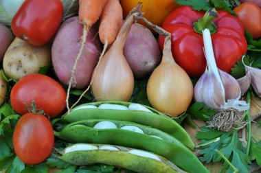 Kırmızı borş pişirmek için sebze seti