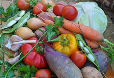 Kırmızı borş pişirmek için sebze seti