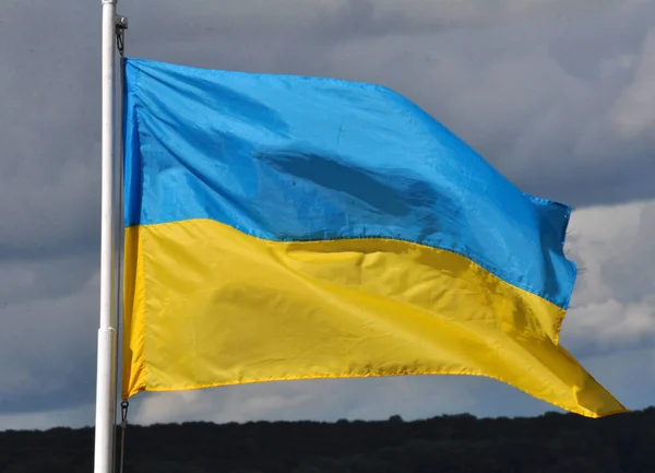 Синий Желтый Цвета Государственного Флага Украины — стоковое фото