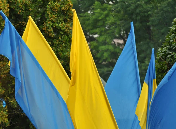 Синий Желтый Цвета Государственного Флага Украины — стоковое фото
