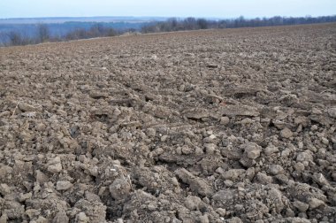 Sonbahar tarlasında toprak kayalarıyla saban sürmek