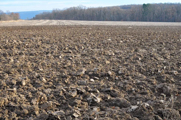 Charrue Soufflante Dans Champ Automne Avec Des Rochers Terre — Photo