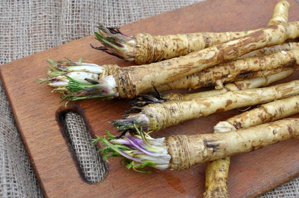 Frischer Ausgehobener Wurzelmeerrettich Mit Blättern Auf Dem Haufen — Stockfoto