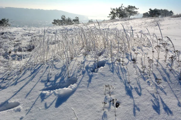 Χειμερινό Τοπίο Χιόνι Δέντρα Και Παγετό — Φωτογραφία Αρχείου