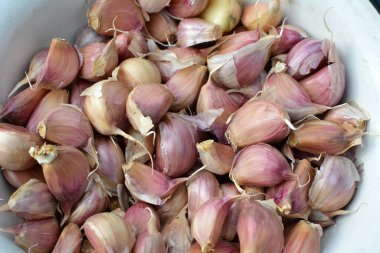 Sarımsak, toprağa ekilmeden önce başlarından ayrılmış..