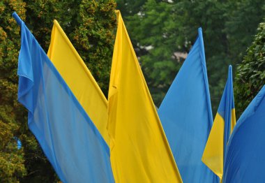 Ukrayna ulusal bayrağının mavi ve sarı renkleri