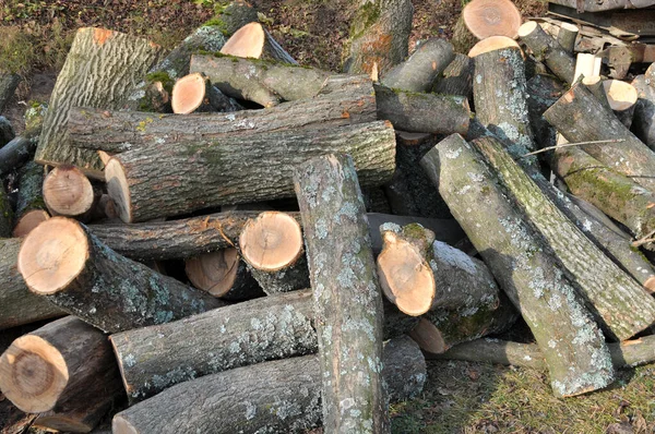 Einem Holzstapel Der Zum Heizen Brennholz Geschnitten Wurde — Stockfoto