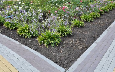 Bahçedeki peyzaj, park, meydan, dinlenme alanındaki modern tasarım parçaları.