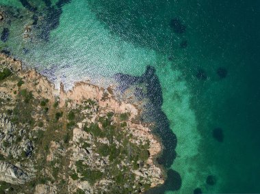 İtalya, Sardunya 'nın kuzey tarafında bulunan La Maddalena arşivinde inanılmaz kuşların göz teması.