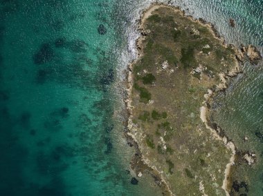 İtalya, Sardunya 'nın kuzey tarafında bulunan La Maddalena arşivinde inanılmaz kuşların göz teması.