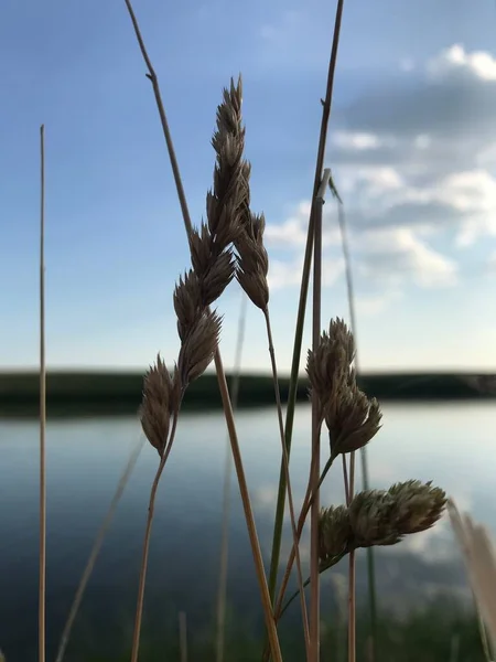 Schöne Aussicht Auf Die Natur — Stockfoto