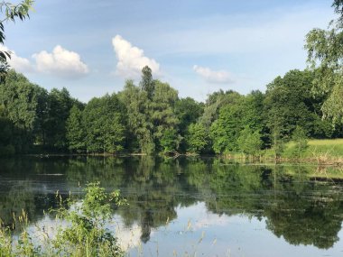 view on the lake in the forest