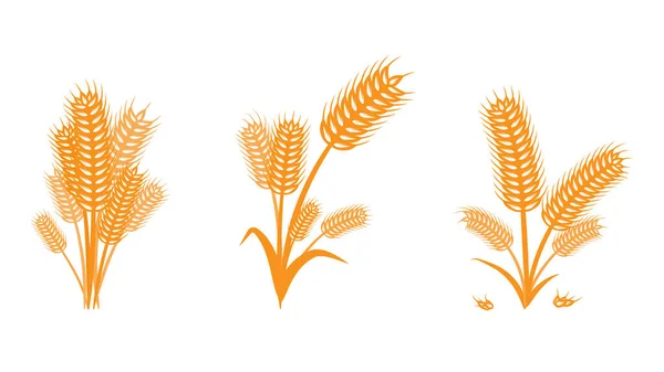 Wheat Logo Design Abstract Style Organic Sign Symbol — Stock Vector