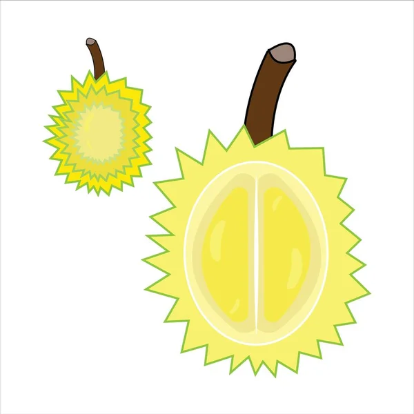 Ilustrasi Vektor Logo Durian - Stok Vektor