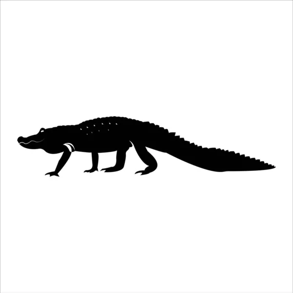 Alligator Vector Modern Design Illustration Template Web — 스톡 벡터